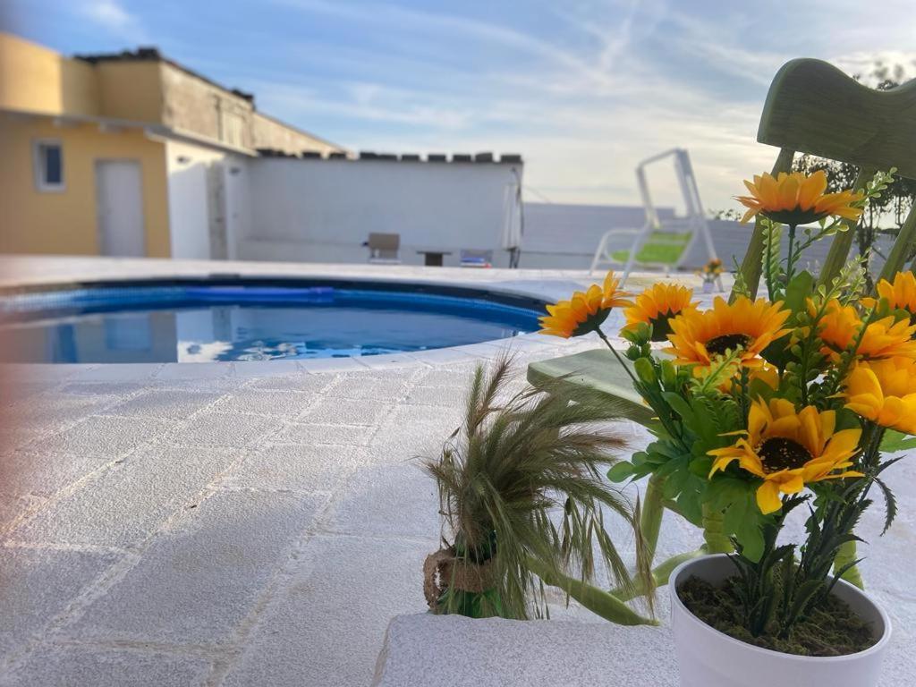Casa Loredana Putignano Kültér fotó