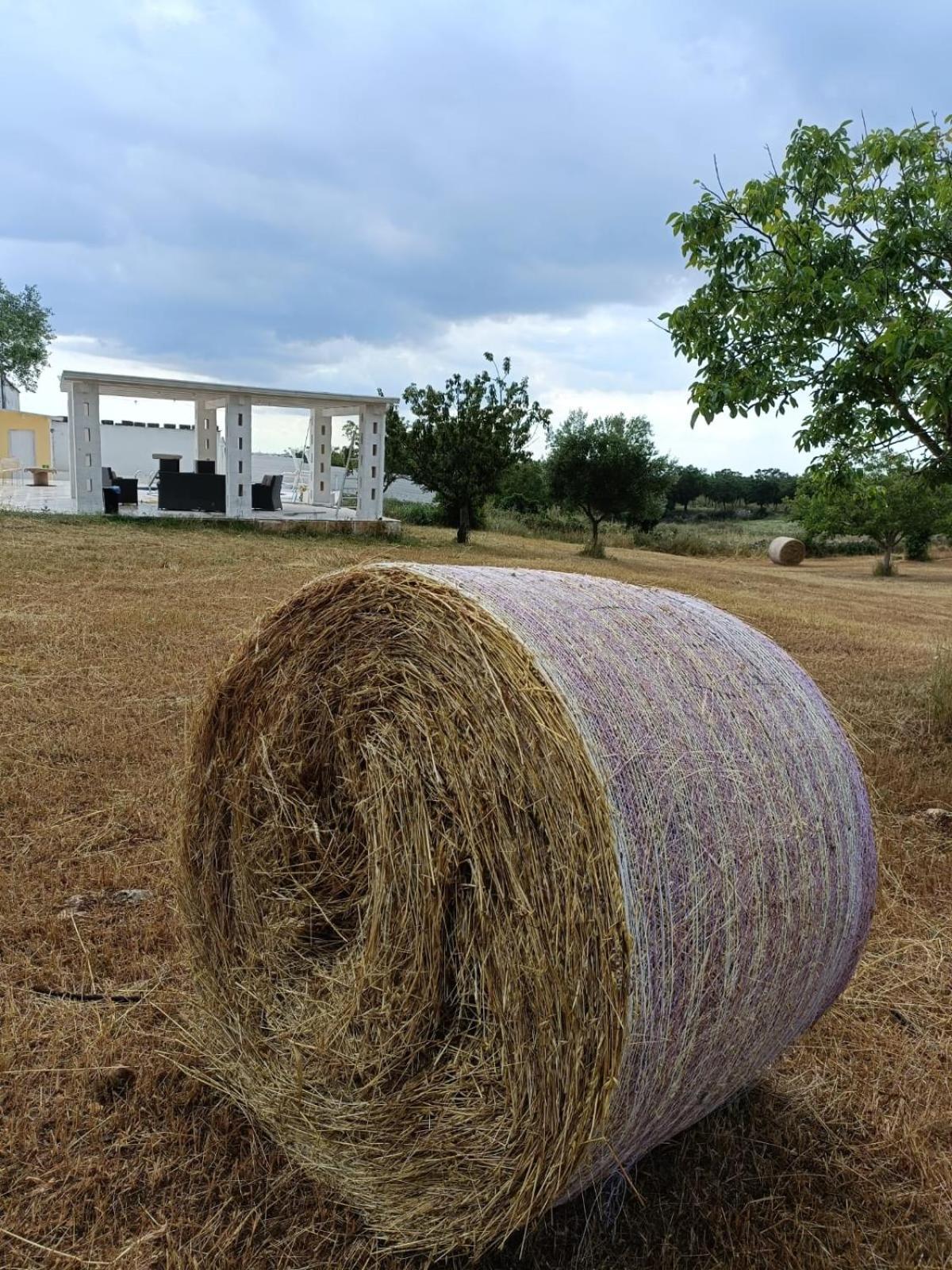 Casa Loredana Putignano Kültér fotó
